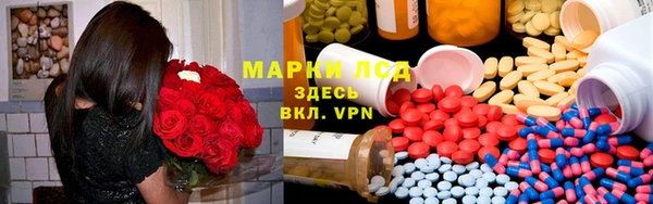хмурый Инта