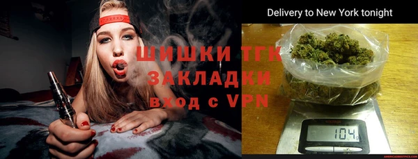 хмурый Инта