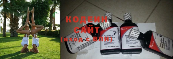 хмурый Инта